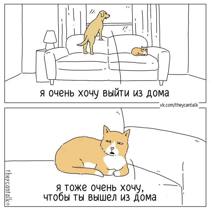 Dreams - My, Theycantalk, Translated by myself, Comics, cat, Cats and dogs together, Dog, Dream