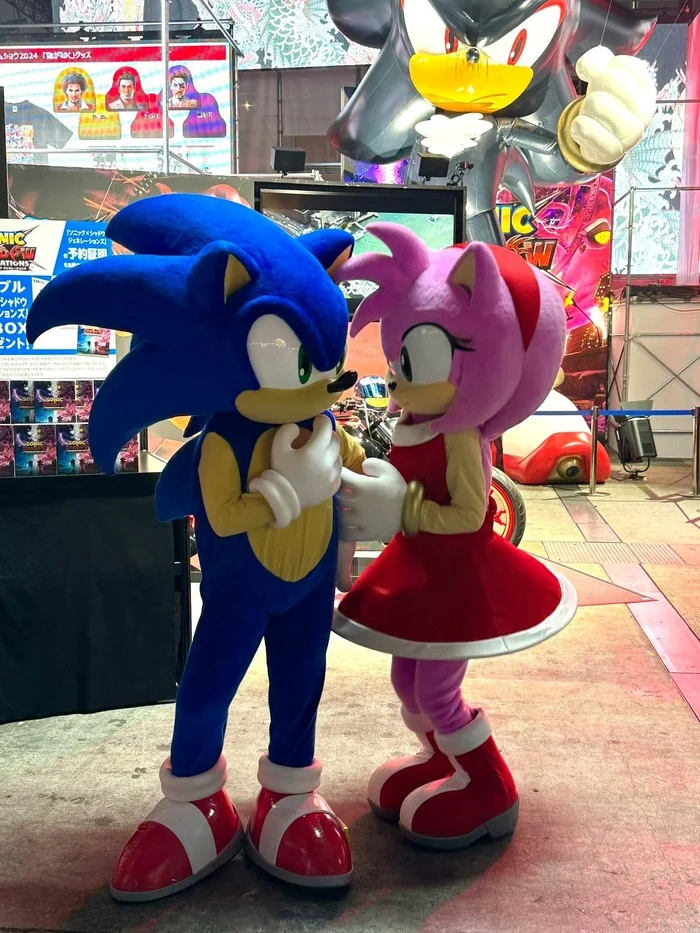 Cuteness) - The photo, Cosplay, Cosplayers, Amy Rose, Sonic the hedgehog, Games, Longpost