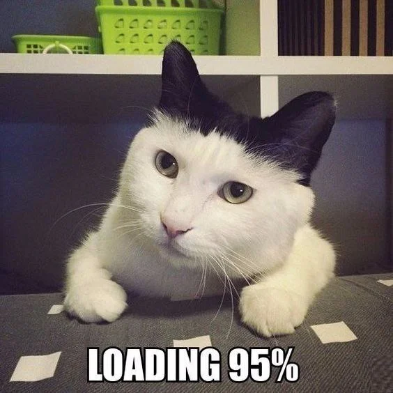 Load up and take a bite - Humor, Memes, Picture with text, cat, loading