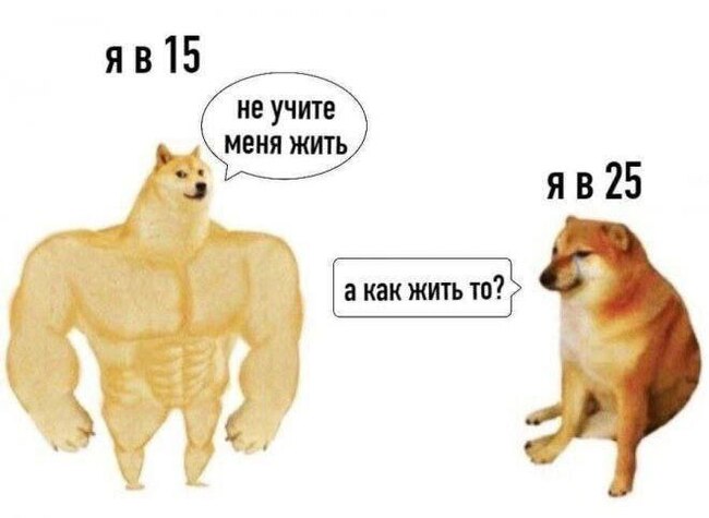   ? ,   , , , Doge