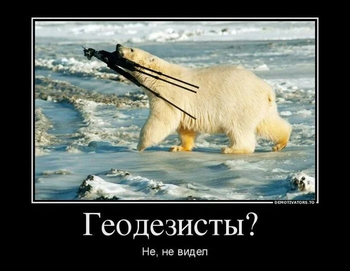 Geodesy - Geodesy, Surveyor, Humor, Polar bear, Demotivator