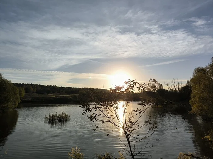 Silence - Art, Nature, Pond, Relaxation, Evening, The photo, Sunset