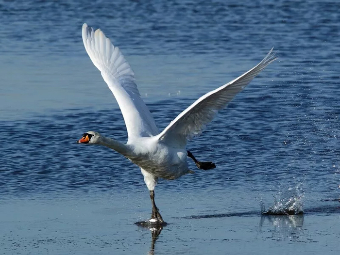 Глупый выпускник думает, что после универа его ждёт свобода, а не работа, ипотека, кредиты и вот это вот всё.