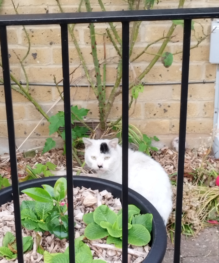 �������