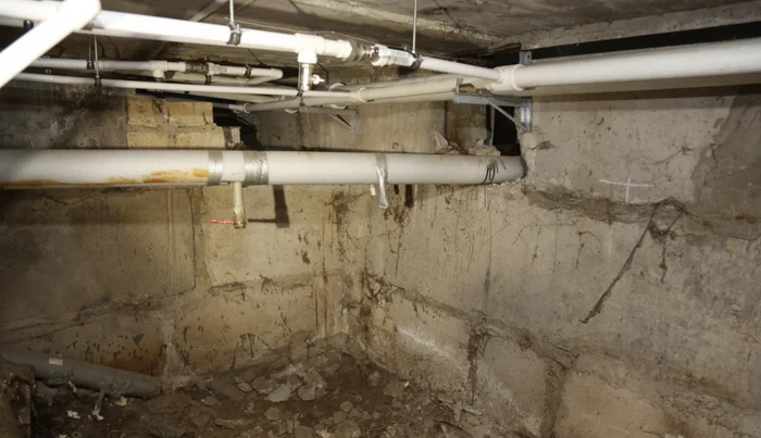 How should the basement in an apartment building be maintained? - Housing and communal services, Basement, Advice, Telegram (link), Management Company