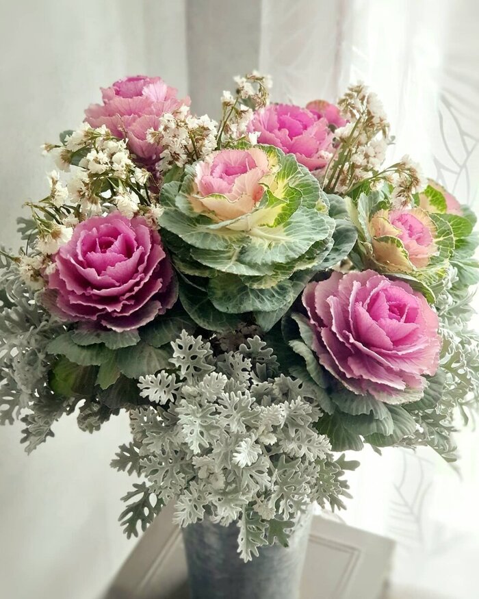   .    <!--noindex--><a href="https://pikabu.ru/story/kapusta_dekorativnaya_11860988?u=http%3A%2F%2Fbalthazar.club&t=balthazar.club&h=165976f62266ea090f818e966cf7cec4c719b9b9" title="http://balthazar.club" target="_blank" rel="nofollow noopener">balthazar.club</a><!--/noindex-->.