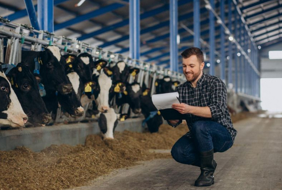 ������������ �� ������: ������������� ������� ��� ���������� ���������