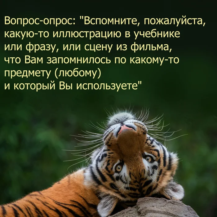 Есть вопрос-опрос, не развлекательный - Моё, Опрос, Вопрос, Иллюстрации, Инфографика, Учебное пособие, Графика, Исследования