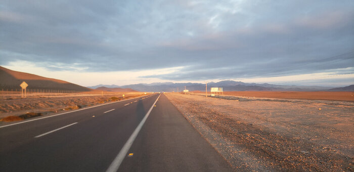 Лучи заходящнго солнца подкрасили все рыжий цвет...