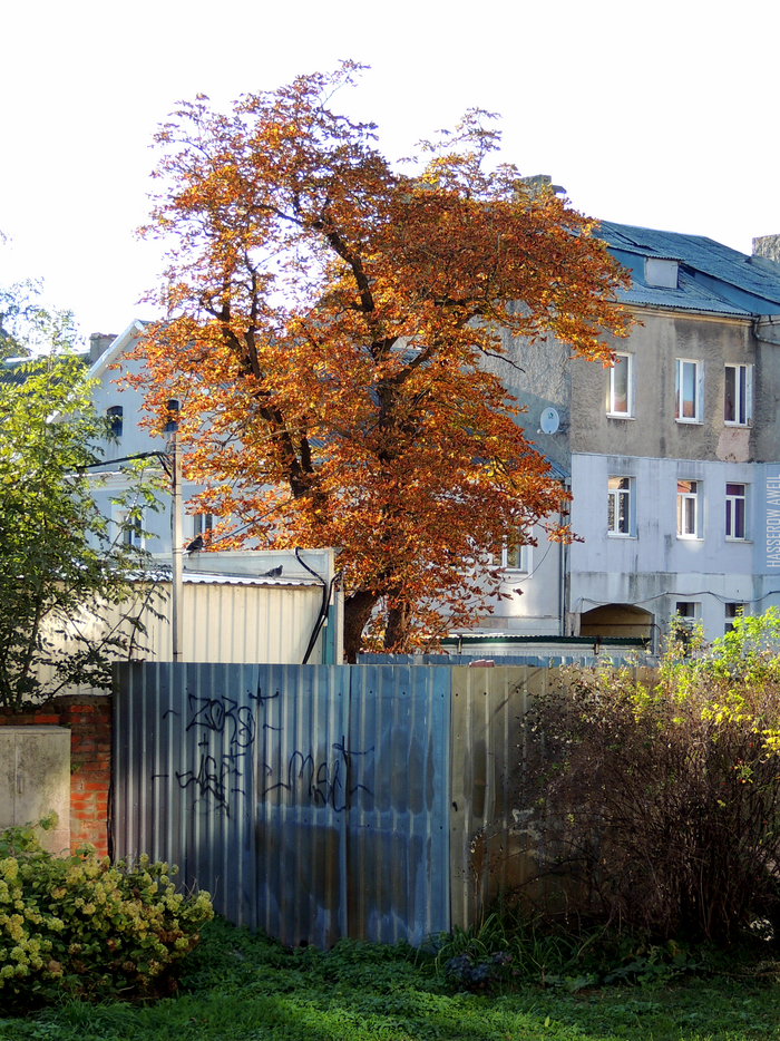  /  / Insterburg @hasserowaweilphoto #hasserowaweilphoto