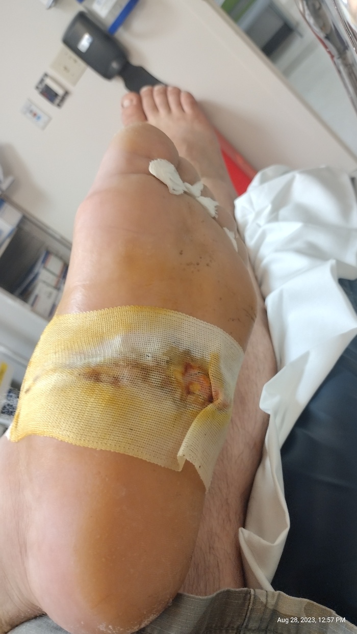 ��� ������� ���� ����� - �������� ����� ������