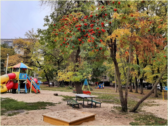 Детская площадка