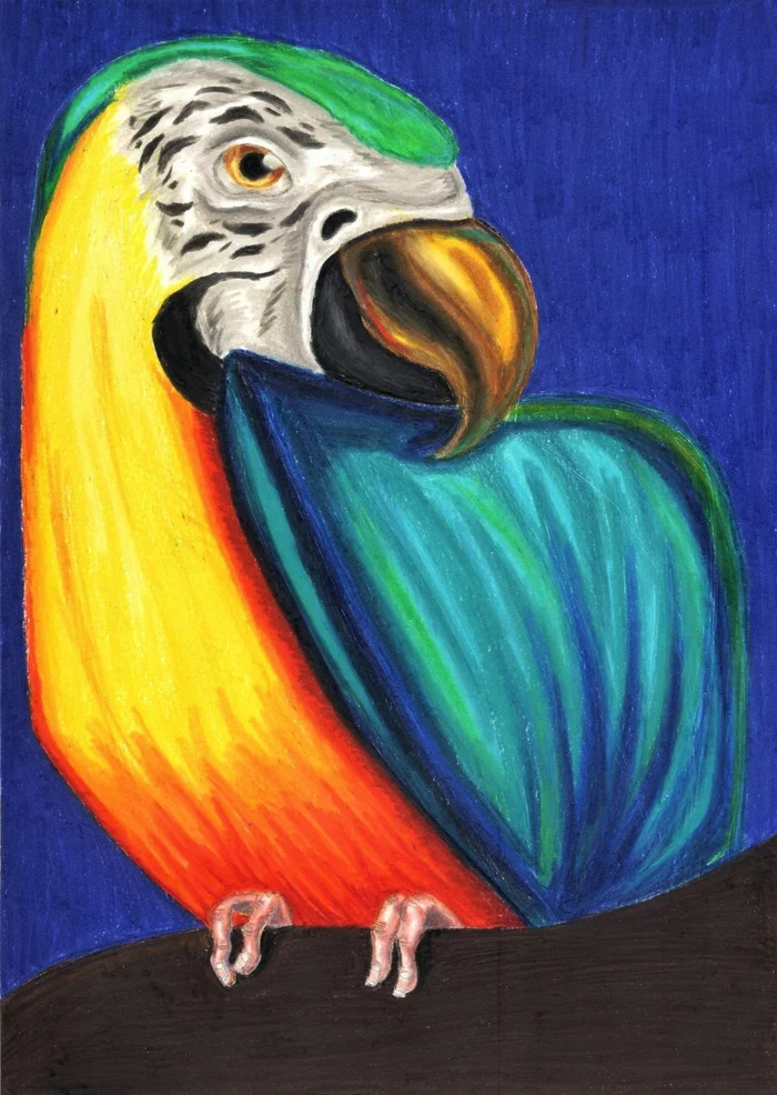 Right shoulder of a pirate - My, Painting, Drawing, Art, Beginner artist, Artist, Tambov, Russia, A parrot, Pirates, Birds, Sea