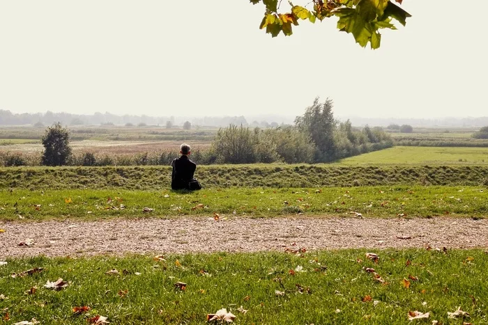 Autumn... just autumn... - My, Netherlands (Holland), Nature, The photo, Beautiful view, The park