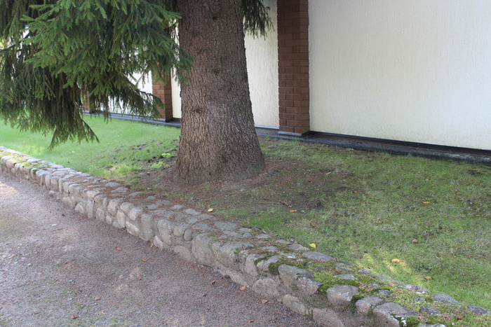 ���� �� ����� ������