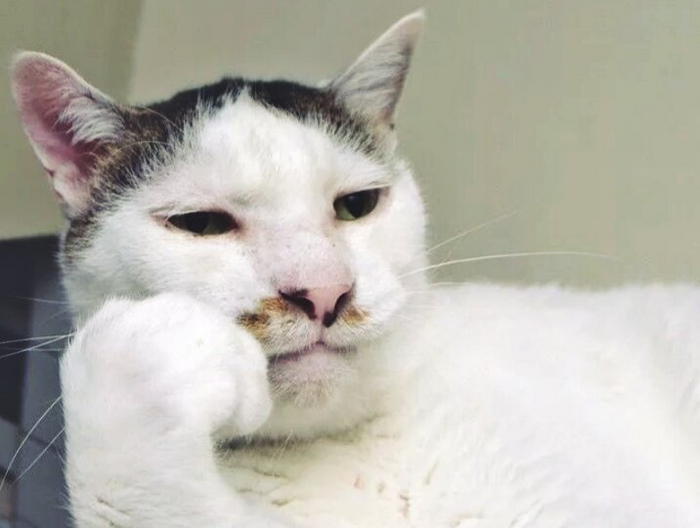 ��� �� ���, ������))