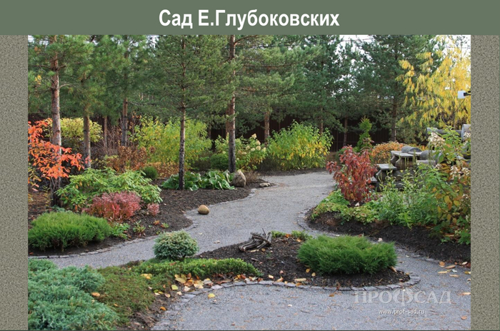 ��������: <!--noindex--><a href="https://pikabu.ru/story/gazon_v_teni_voobshche_ne_rastet_chem_zamenit_reshenie_pervoe_neozhidannoe_dlya_vlazhnoy_teni_11864018?u=http%3A%2F%2Fprof-sad.ru&t=prof-sad.ru&h=d5d03900e92f76675001dd5d8c37549274957be1" title="http://prof-sad.ru" target="_blank" rel="nofollow noopener">prof-sad.ru</a><!--/noindex-->