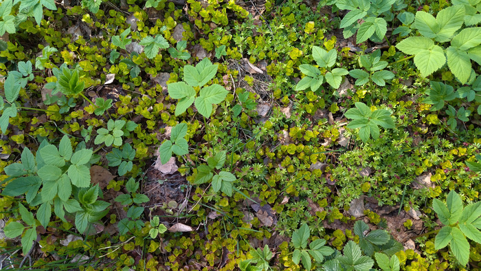 ��� �� ��������� � ������ ���� �� ���������� ������������ ��������� ������