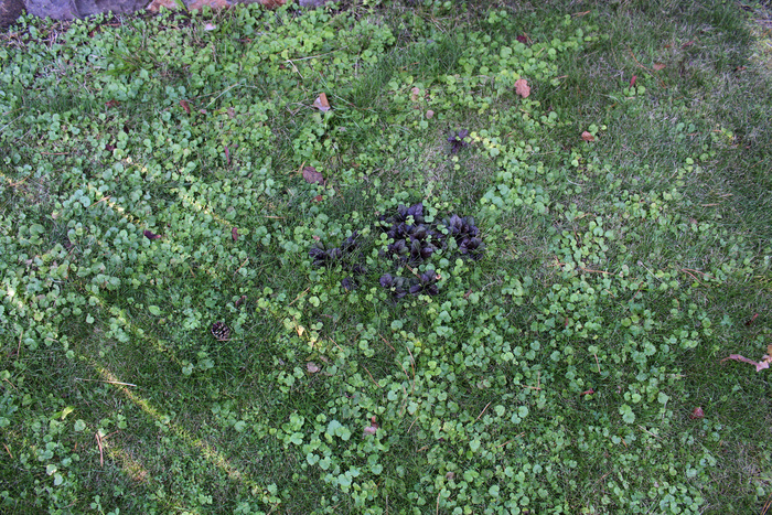 ������������� ������� � ������� �� ����� �������������