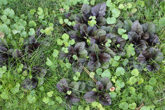 ��� �� ������� ������