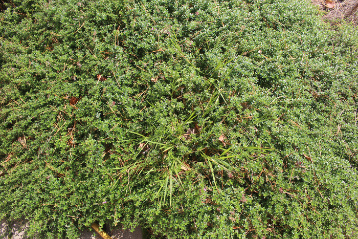 ������ �� ������� �� ������� � ����� ����