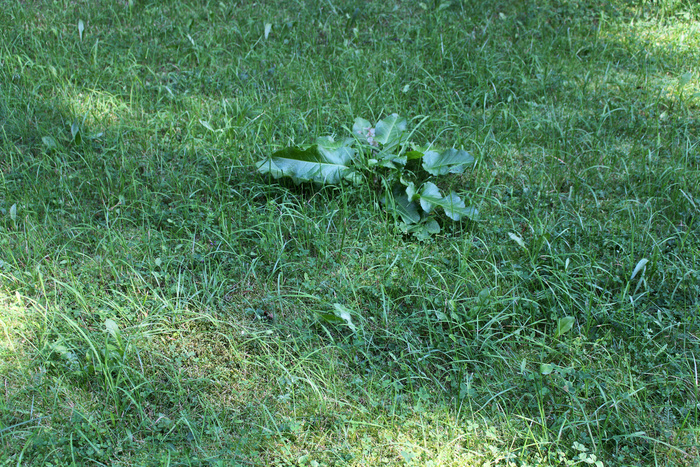 ������� ������ � ������� �� ����� ���� ����������� � ��������� �������. ���� �� ����� ������