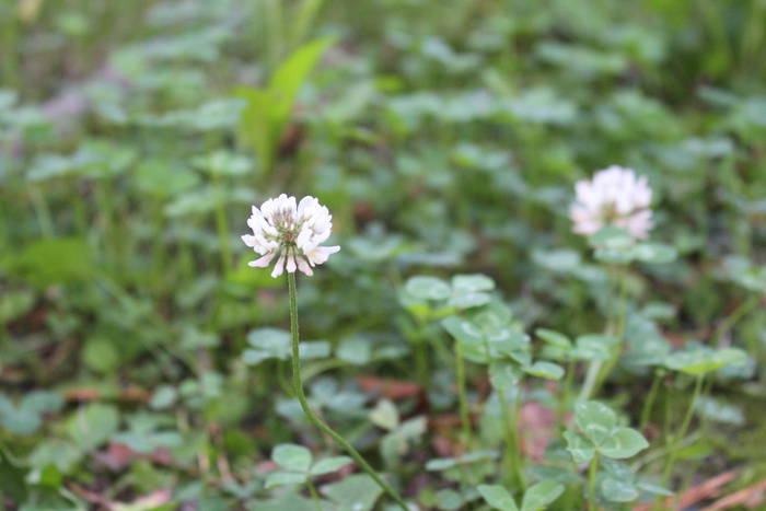 ��������, �����)) ���� �� ����� ������