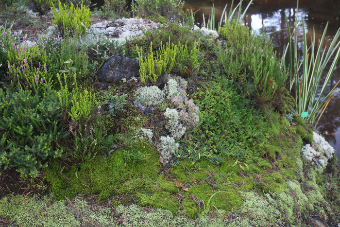 � ����� ����