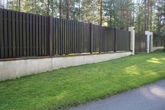 ���� �� ����� ������