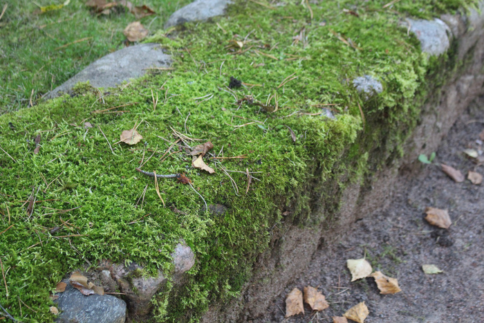 ���� �� ����� ������