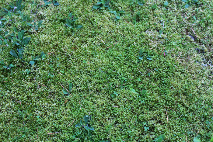 ���� �� ����� ������