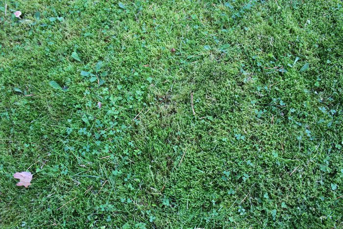 ���� �� ����� ������