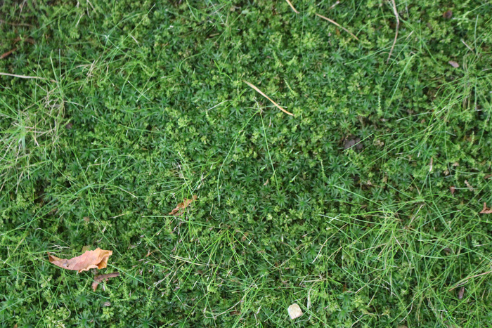 ���� �� ����� ������