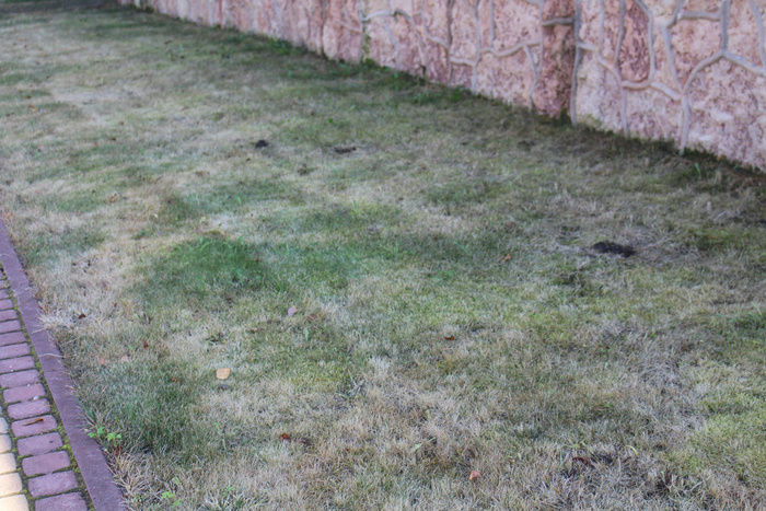 ���� �� ����� ������