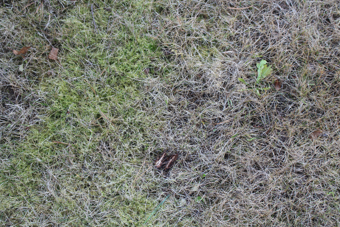 ���� �� ����� ������