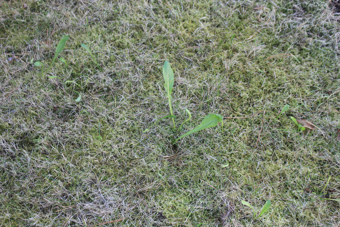 ���� �� ����� ������