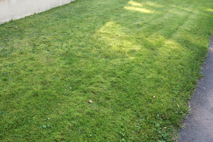 ���� �� ����� ������