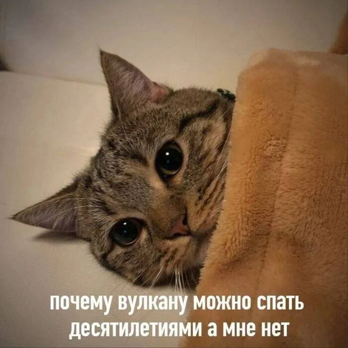 How I want to sleep! - Humor, Picture with text, cat, Volcano, Dream