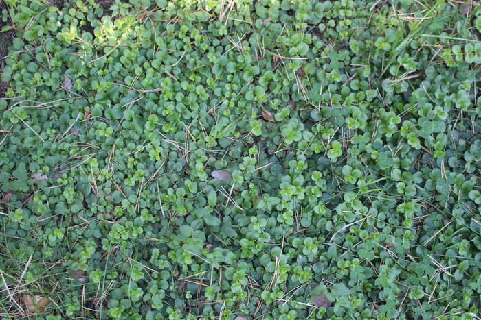 ���� �� ����� ������