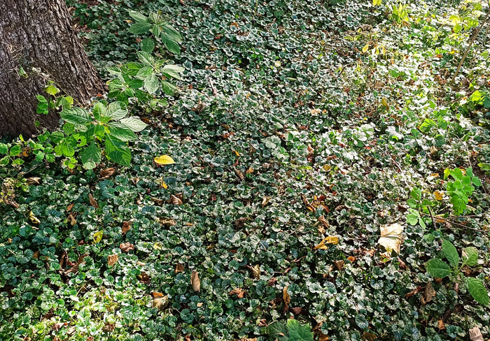 ����� � ����� �������. ���� �� ����� ������