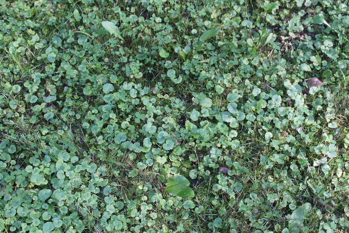 ������� �� ����� ���� � ������, ���� �� ����� ������