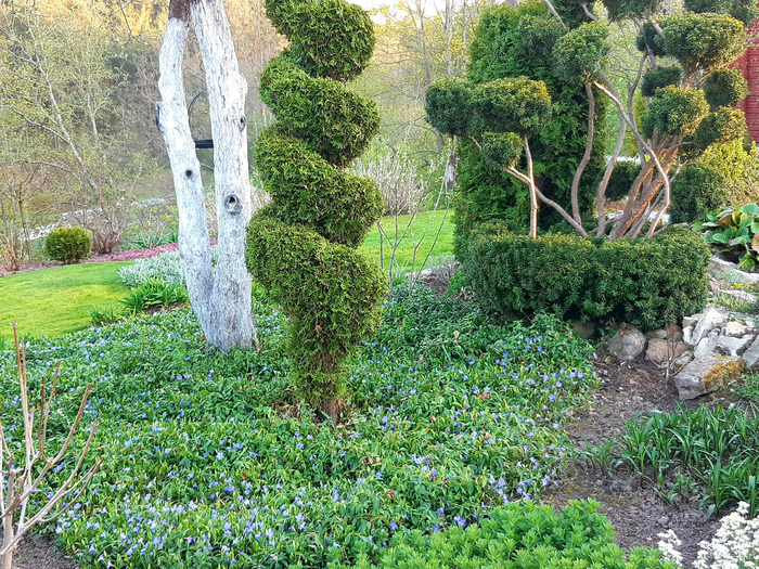 ��� � ���� ���� ���������� �.���������