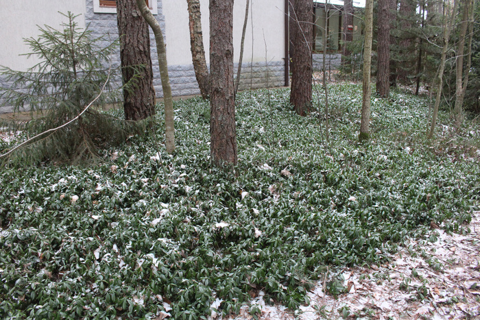 ��� ������� ��, ���, ���� �� ����� ������