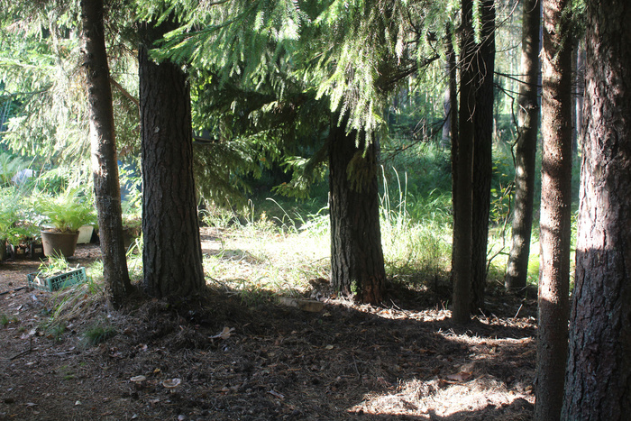 ������ ������� � �� ������� �� ����������� ����, �������� � ������ �������� ��� ����.