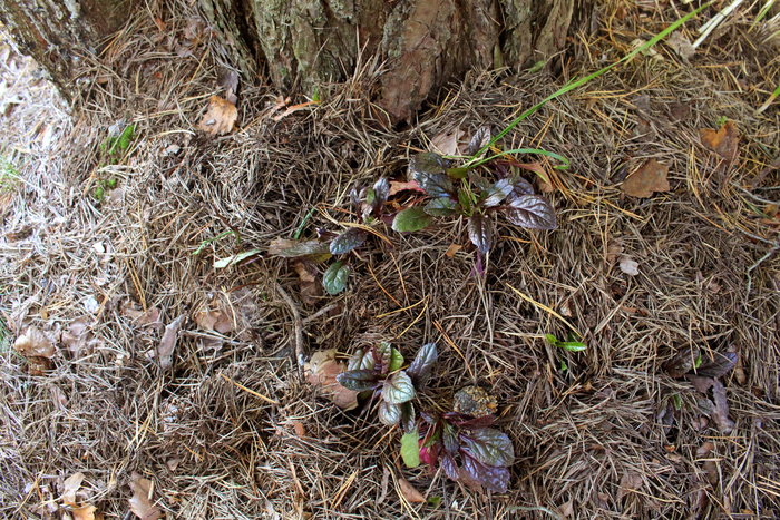 "� ���, ���������� �����!" - ������� �������, "�����!"