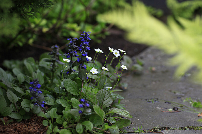 ��� � ���� ����� ��������, ����� "<a href="https://pikabu.ru/story/gazon_v_sukhoy_teni_pervyie_7_iz_13_mnogoletnikov_kotoryie_spasut_situatsiyu_11864036?u=https%3A%2F%2Fdzen.ru%2Fchadeyka&t=%D0%A5%D1%8E%D0%B3%D0%B3%D0%B5%20%D0%BD%D0%B0%20%D1%88%D0%B5%D1%81%D1%82%D0%B8%20%D1%81%D0%BE%D1%82%D0%BA%D0%B0%D1%85&h=3be7caed830d1a9312e1304a26406a303e14300d" title="https://dzen.ru/chadeyka" target="_blank" rel="nofollow noopener">����� �� ����� ������</a>"