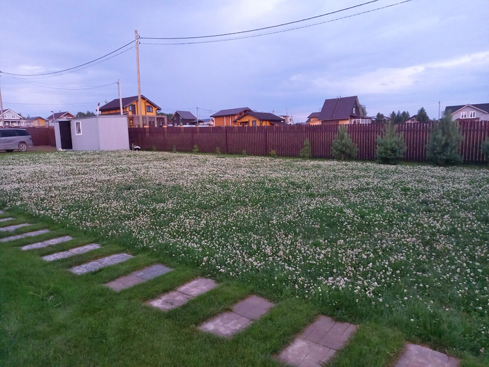 ���� ����� ���������� ���, ��������: <!--noindex--><a href="https://pikabu.ru/story/gazon_v_sukhoy_teni_pervyie_7_iz_13_mnogoletnikov_kotoryie_spasut_situatsiyu_11864036?u=http%3A%2F%2Fdzen.ru%2Fa%2FY69P2IOKTEwFD4bC&t=dzen.ru%2Fa%2FY69P2IOKTEwFD4bC&h=53d85110b9b4a30a8346aa249f651551b82370a3" title="http://dzen.ru/a/Y69P2IOKTEwFD4bC" target="_blank" rel="nofollow noopener">dzen.ru/a/Y69P2IOKTEwFD4bC</a><!--/noindex-->