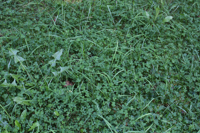 �����-�� ��� ��� ����� �� ������� �������. ���� �� ����� ������