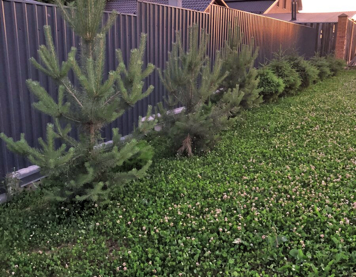 ��� � ���� ���� ���������� ����� �������V��, �� �����������