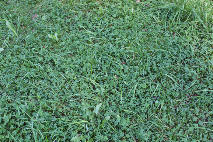 ���� �� ����� ������